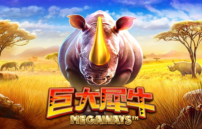 ng体育官网
