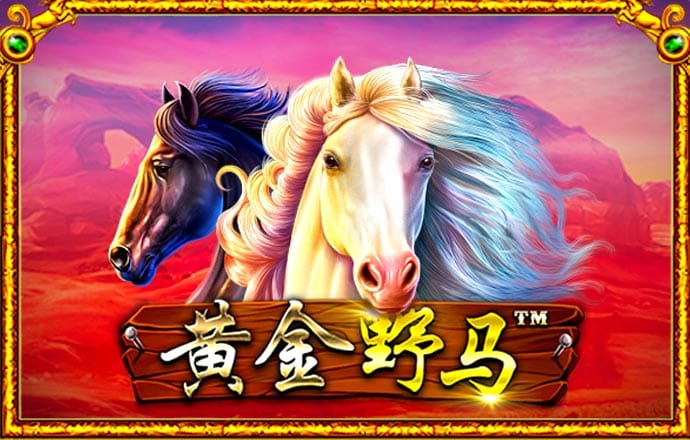 7777788888王中王跑狗下载